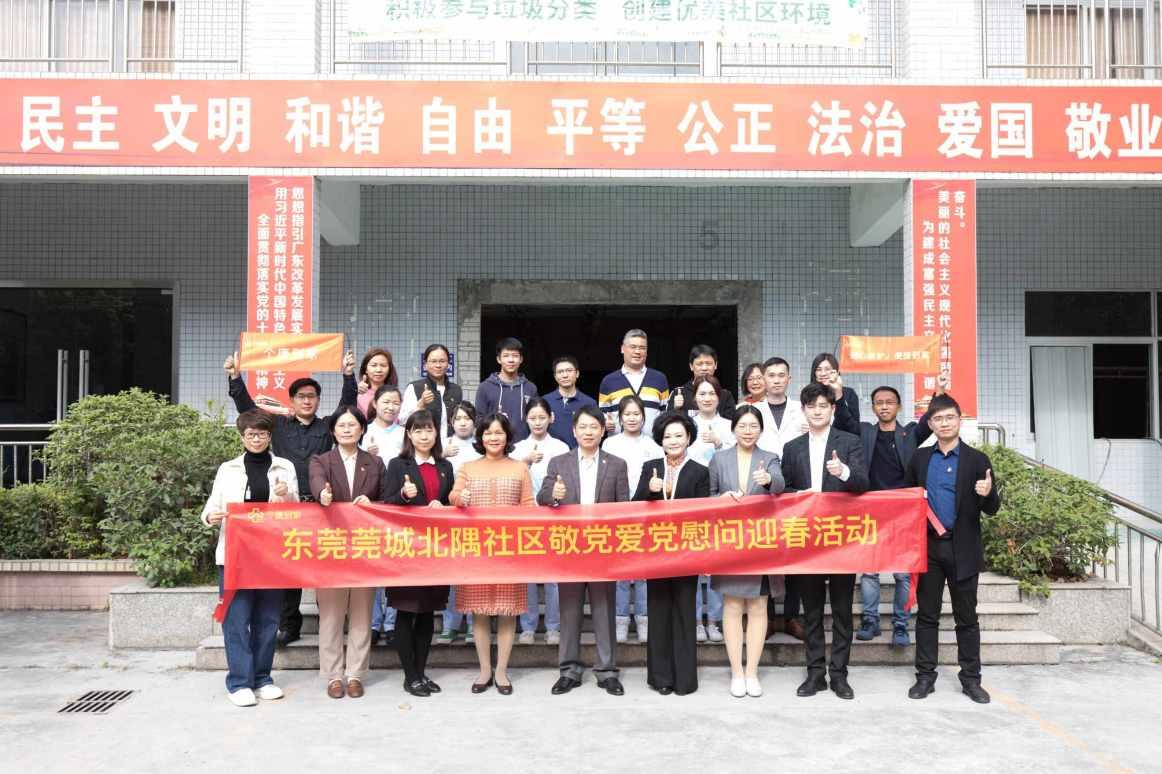 可爱的小考拉